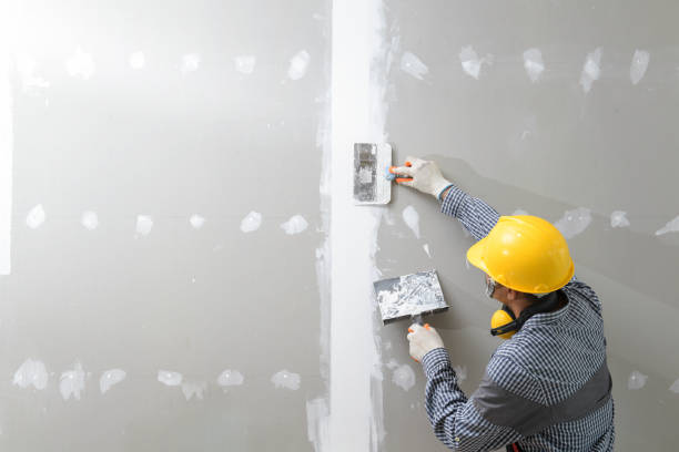 Best Black Mold Removal  in Staic, CA